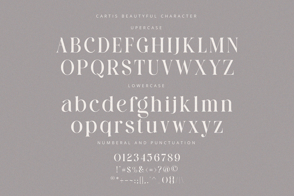 Cartis Beautyful Font Duo, a Serif Font by ToniStudio (Photo 12 of 14)