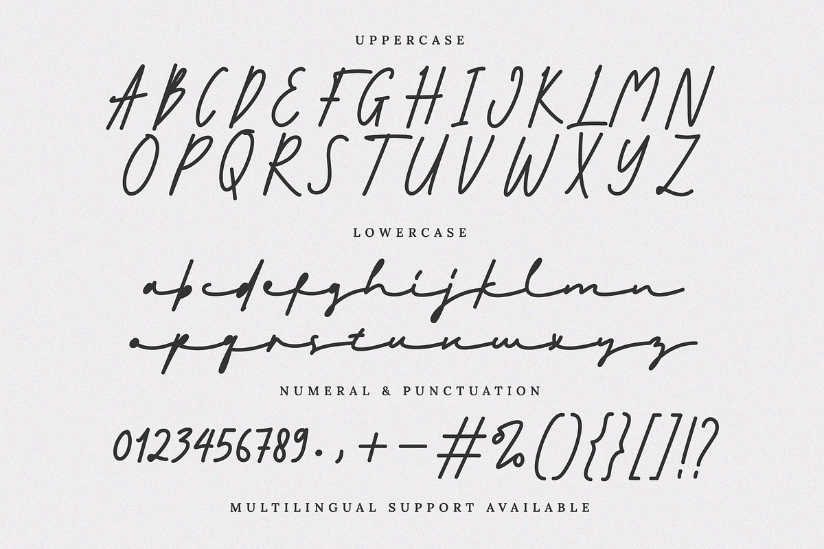 Mockine – Monoline Script Font, a Script Font by Prioritype Co (Photo 9 of 10)