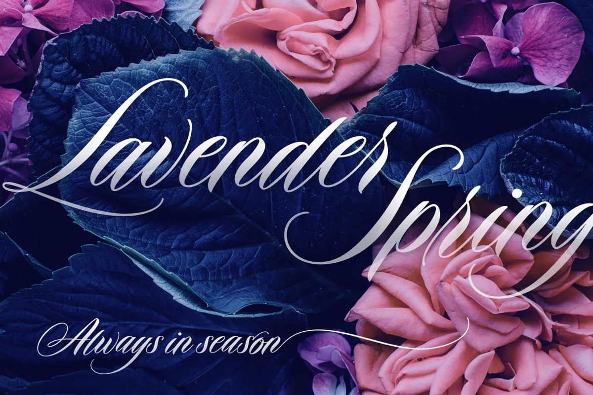 Duende Script Set preview 5