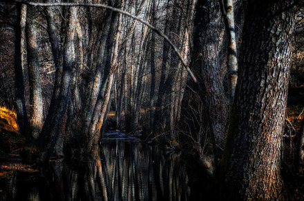 Wild River Landscape. Sanabria,Spain, a Nature Photo by Shootdiem