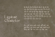 Lunavera - Luxury Serif Font, a Serif Font by Letterara (Thumbnail 13 of 14)