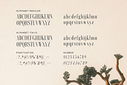 Sebastian Moreta Family Serif Font, a Serif Font by Graphicxell (Thumbnail 8 of 8)