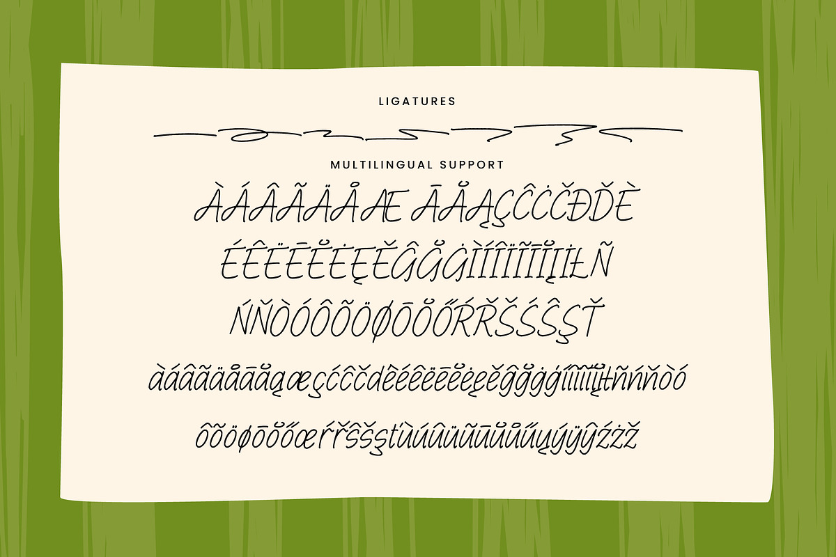 Cocktail Vibes Handwritten Script, a Handwritten Font by operatype.co (Photo 15 of 15)