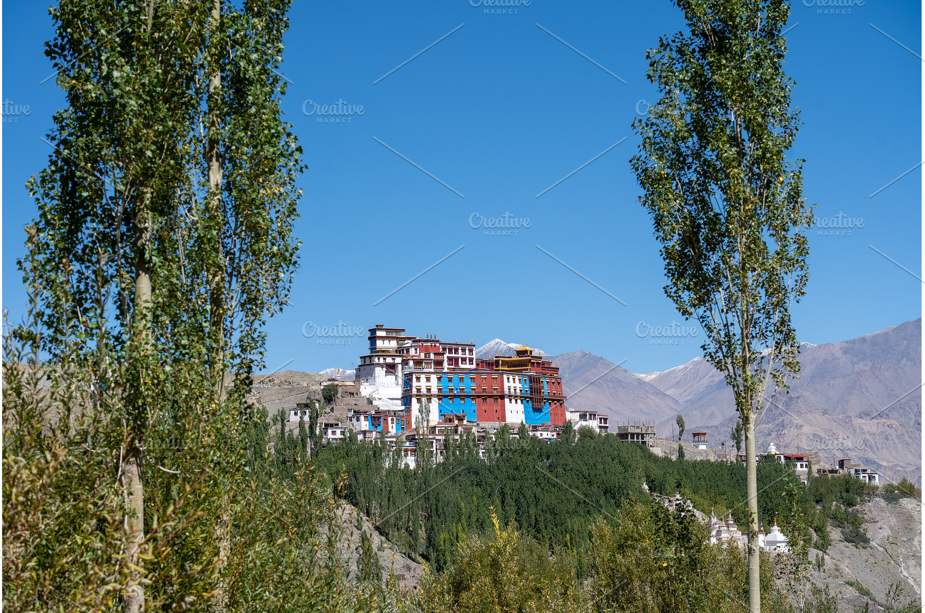 Matho Monastery in Ladakh, India, an Architecture Photo by oliverfoerstner