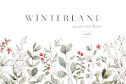 Watercolor Winter. Christmas florals, an Illustration by Kreker Kate (Thumbnail 1 of 10)