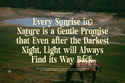 Hibrida Bold Serif Font, a Serif Font by Perfectype (Thumbnail 4 of 8)