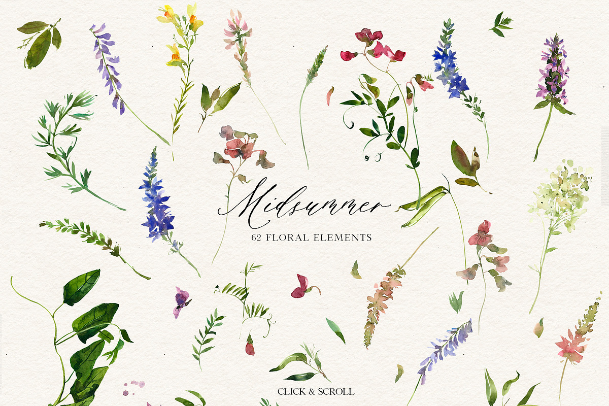 Midsummer - field flowers clipart, a Decorative Illustration by whiteheartdesign (Photo 9 of 16)
