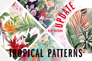 Tropical Patterns UPDATE 1 Pattern