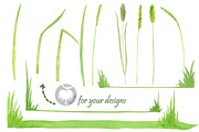 Watercolor handpainted clipart Grass, an Illustration by AqwaColor (Thumbnail 4 of 4)