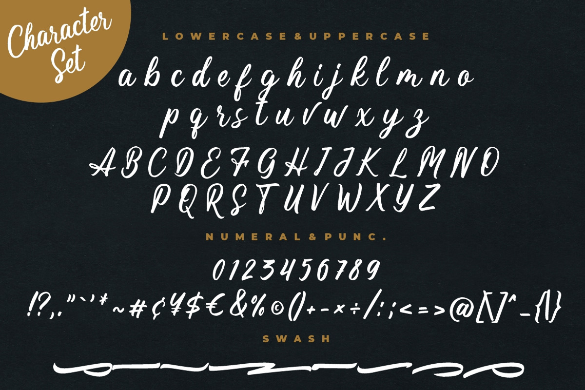 Magnifyco Bold Script, a Script Font by Creatype Studio (Photo 9 of 9)