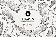 Hawk Falcon Bird Vector Line Art Set, an Animal Illustration by MadliArt (Thumbnail 1 of 4)
