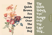 Pink Sunset - Retro Serif, a Serif Font by Shakira Studio (Thumbnail 10 of 10)