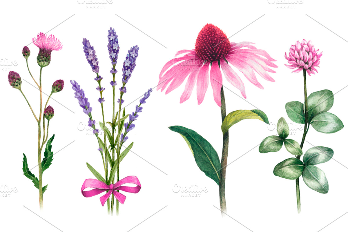 Blue and purple summer nature, a Texture Illustration by Sundra (Photo 2 of 9)