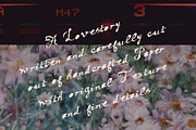 Handwritten Texture Script & Serif, a Handwritten Font by Laras Wonderland (Thumbnail 7 of 14)