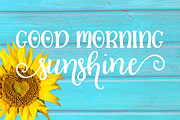 Lemon Squeezy font trio + dingbats!, a Font by Amber Nest Design (Thumbnail 3 of 9)
