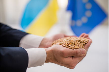 Ukraine exports wheat to Europe, a Business Photo by HalfPoint