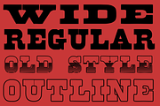 Brute Aldine, a Serif Font by Intellecta Design (Thumbnail 3 of 7)