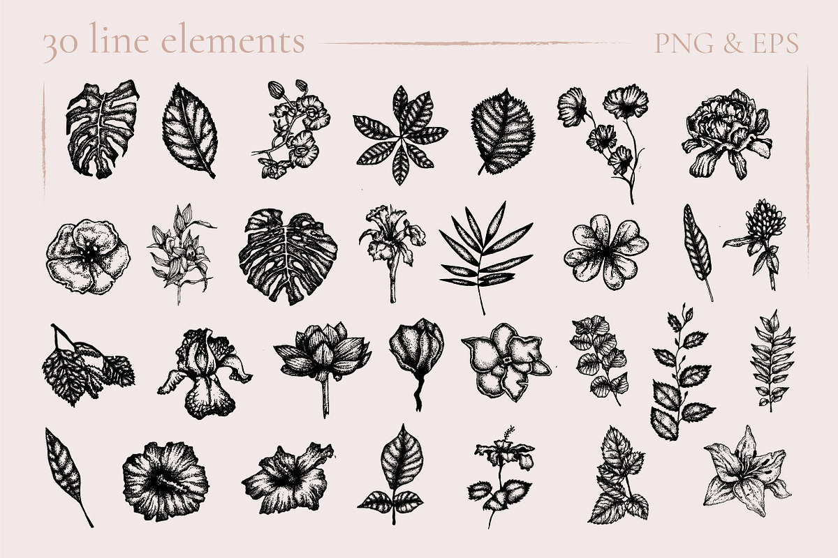 Digital Vintage Flowers, a Decorative Illustration by Onceli*art (Photo 2 of 14)