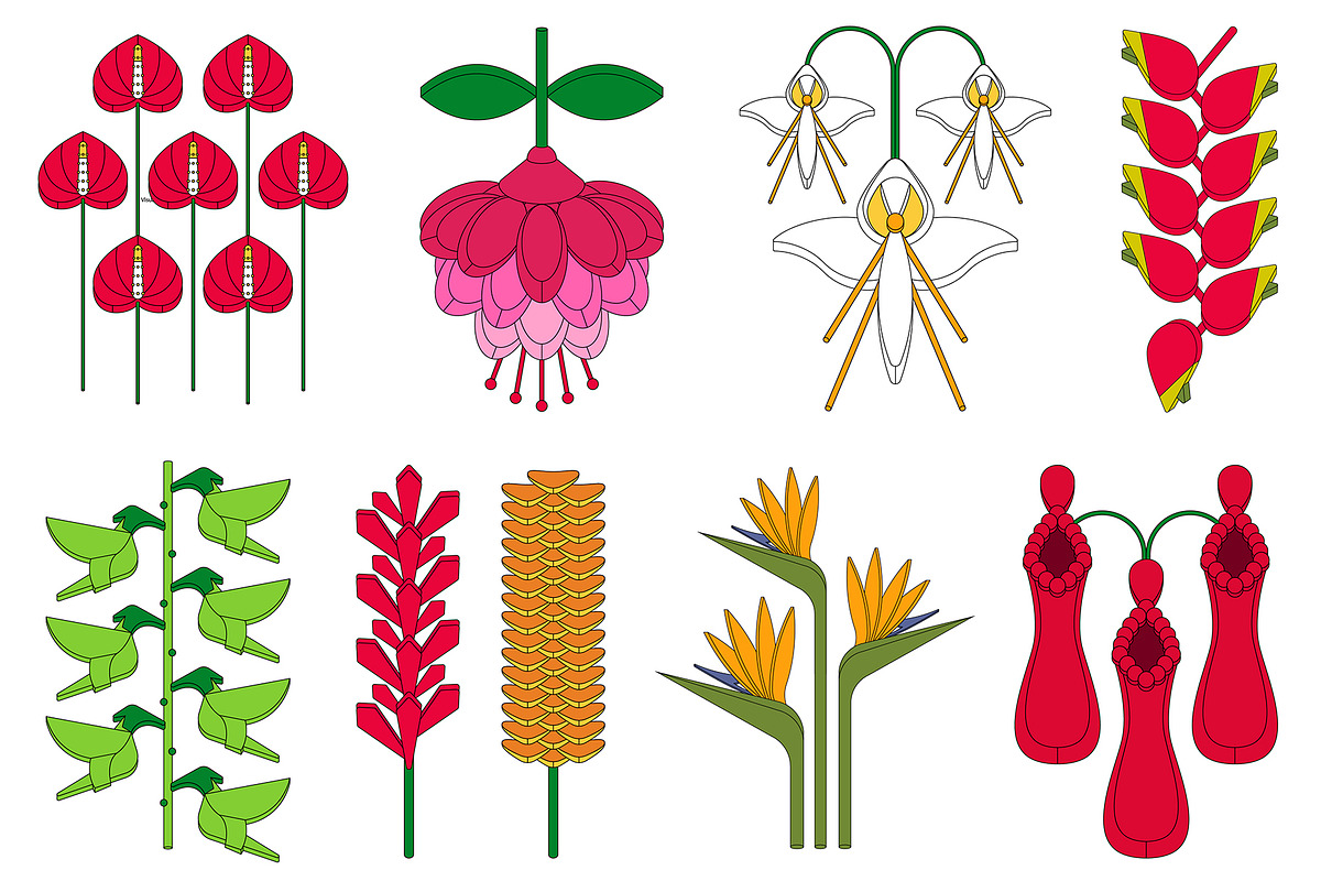 REASSEMBLED FLORA, a Decorative Illustration by HaiHoa (Photo 1 of 7)