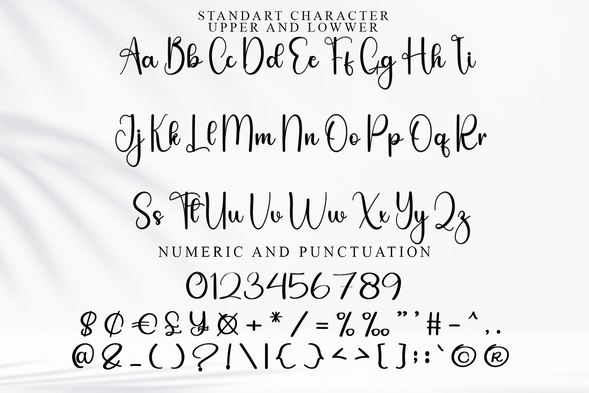 Bounce Back, a Handwritten Font by FreshTypeINK (Photo 5 of 8)