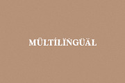 Avenger - Vintage Serif, a Serif Font by Schrifted Type (Thumbnail 8 of 8)