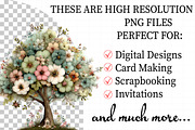 Seven Days Of Creation Clipart, an Illustration by Daily.Designs (Thumbnail 2 of 7)