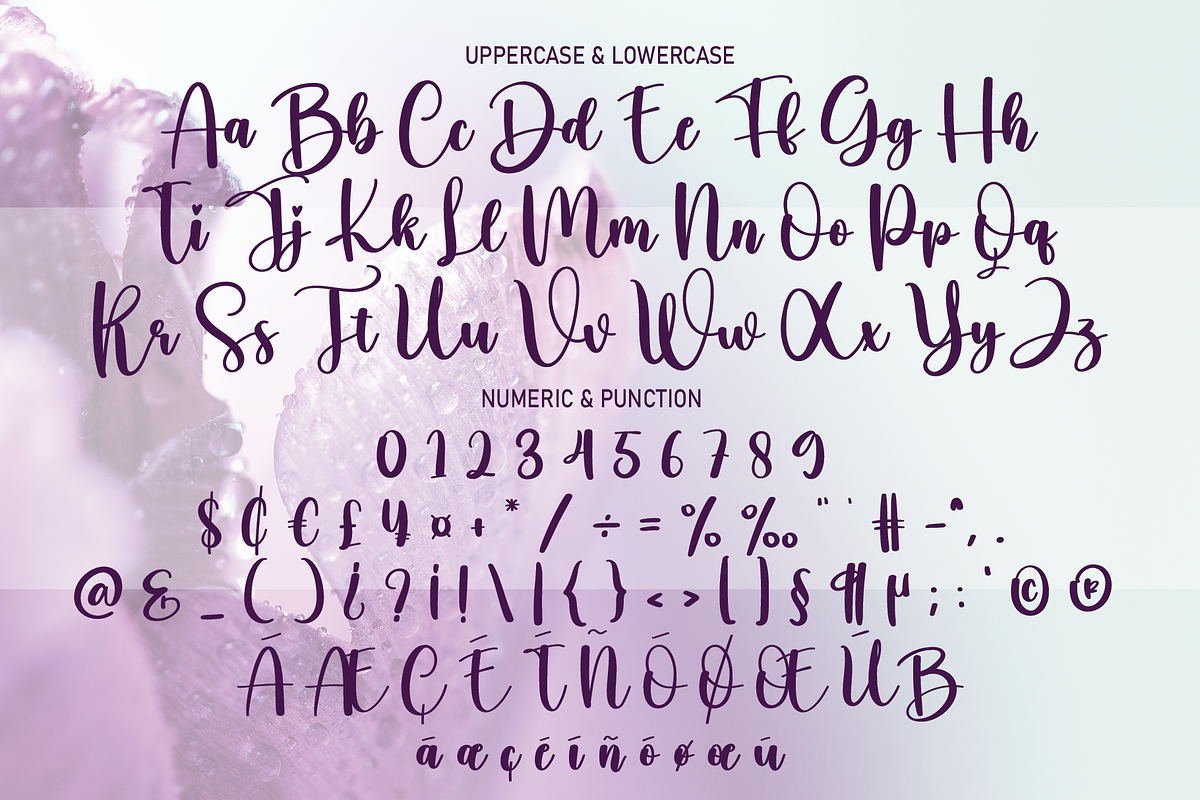 Wildflower | Script Font, a Script Font by Scratchones (Photo 4 of 8)