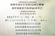 Sunshine | Script Font, a Script Font by Scratchones (Thumbnail 7 of 8)