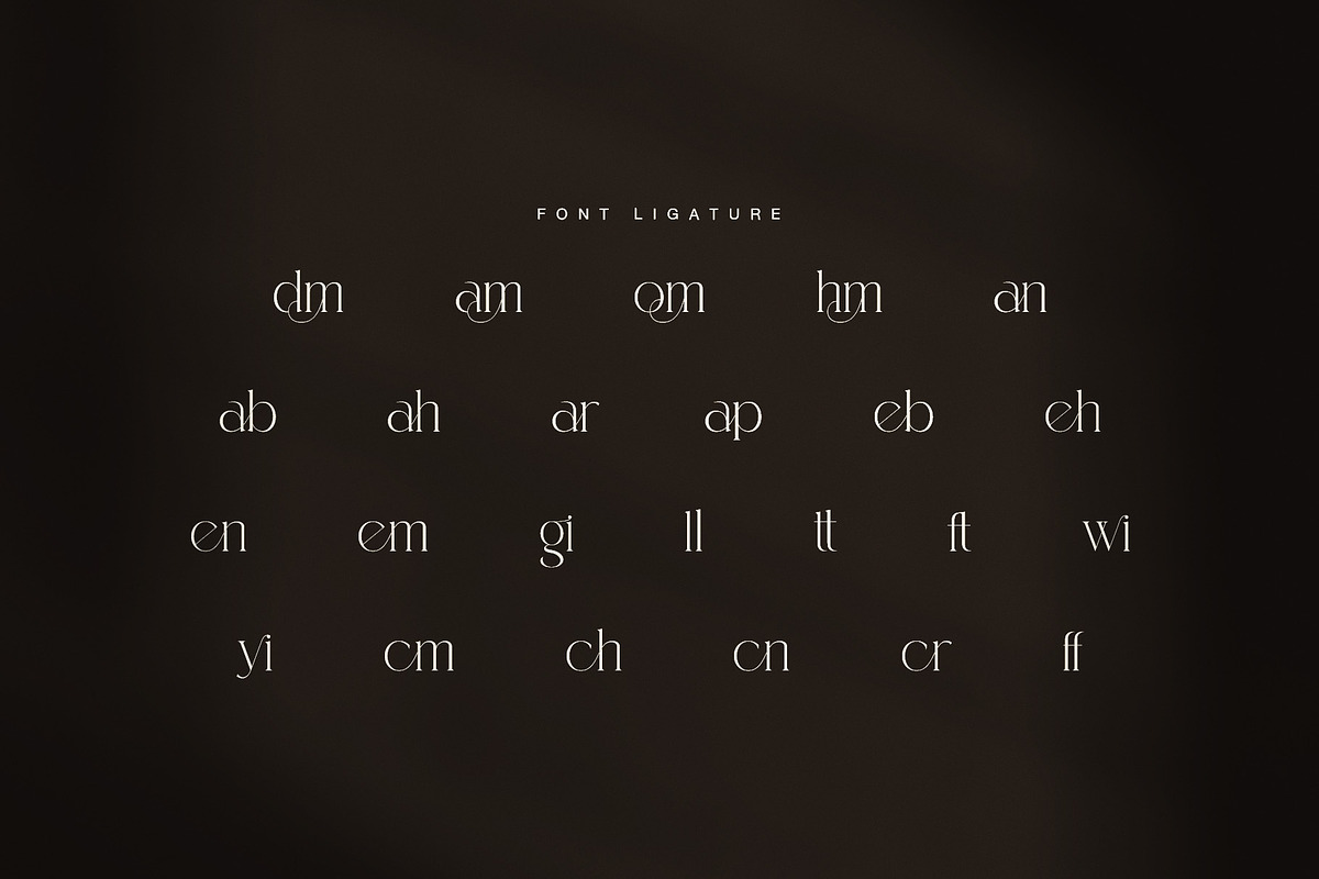 Roman Elegant Ligature Serif Font, a Serif Font by Graphicxell (Photo 8 of 8)