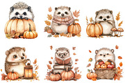 Autumn Cute Hedgehog Sublimation, an Illustration by CitraGraphics (Thumbnail 3 of 6)