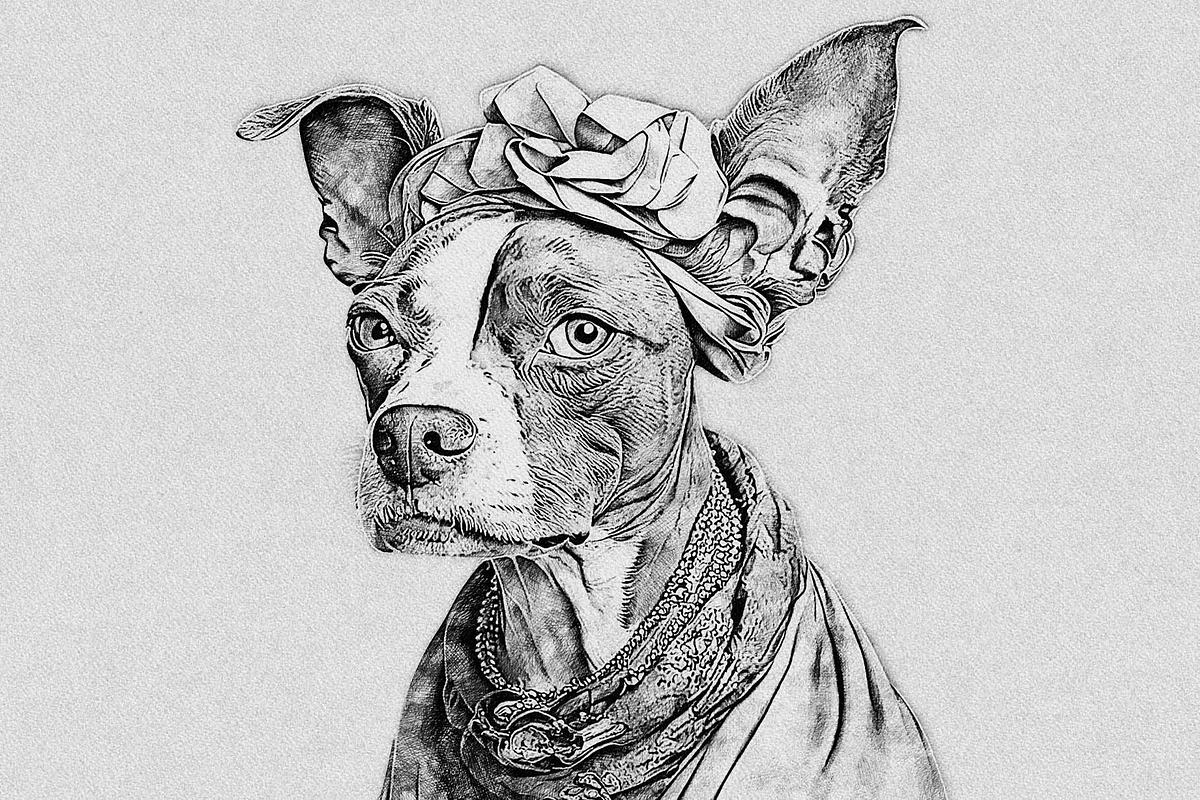 Realistic Drawing & Sketch Effect, an Action Add-On by MRI STUDIO (Photo 15 of 27)