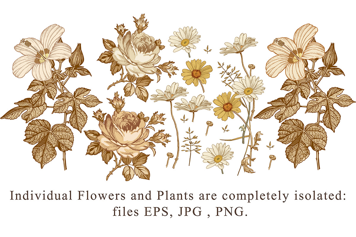 Set Seamless Flowers Rose Hibiscus, a Pattern Graphic by Vintage (Photo 3 of 10)