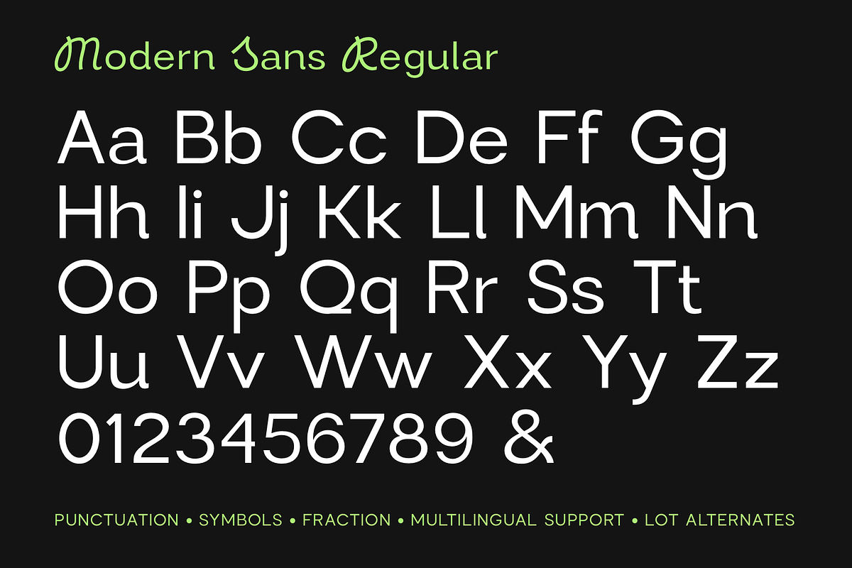 Modern Sans, a Sans Serif Font by Larin Type Co. (Photo 13 of 15)
