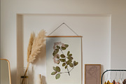 Herbarium: Pressed Dry Flowers vol.1, a Decorative Illustration by AnaPierceArt (Thumbnail 9 of 12)