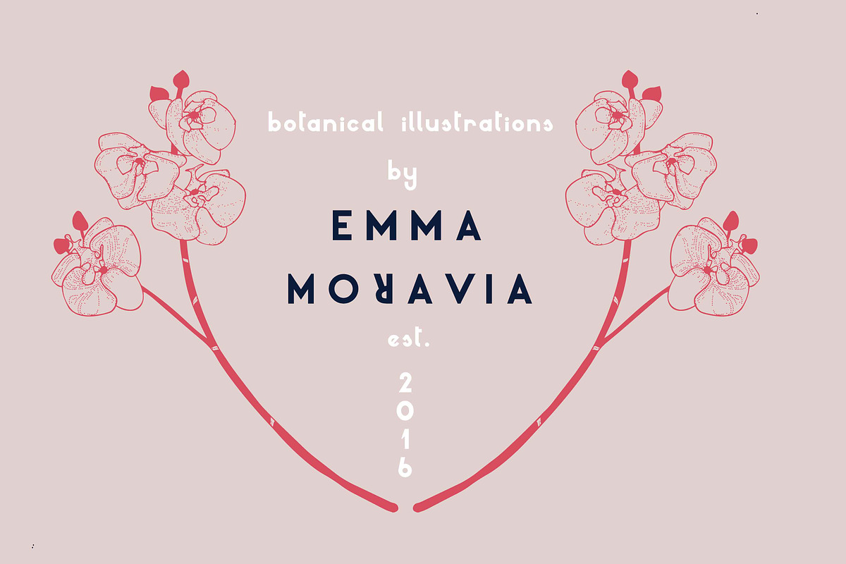 Mille Fleur | Sans Serif Font Duo preview 6