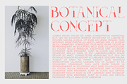 Decoslice, a Serif Font by Muksal Creative (Thumbnail 5 of 10)