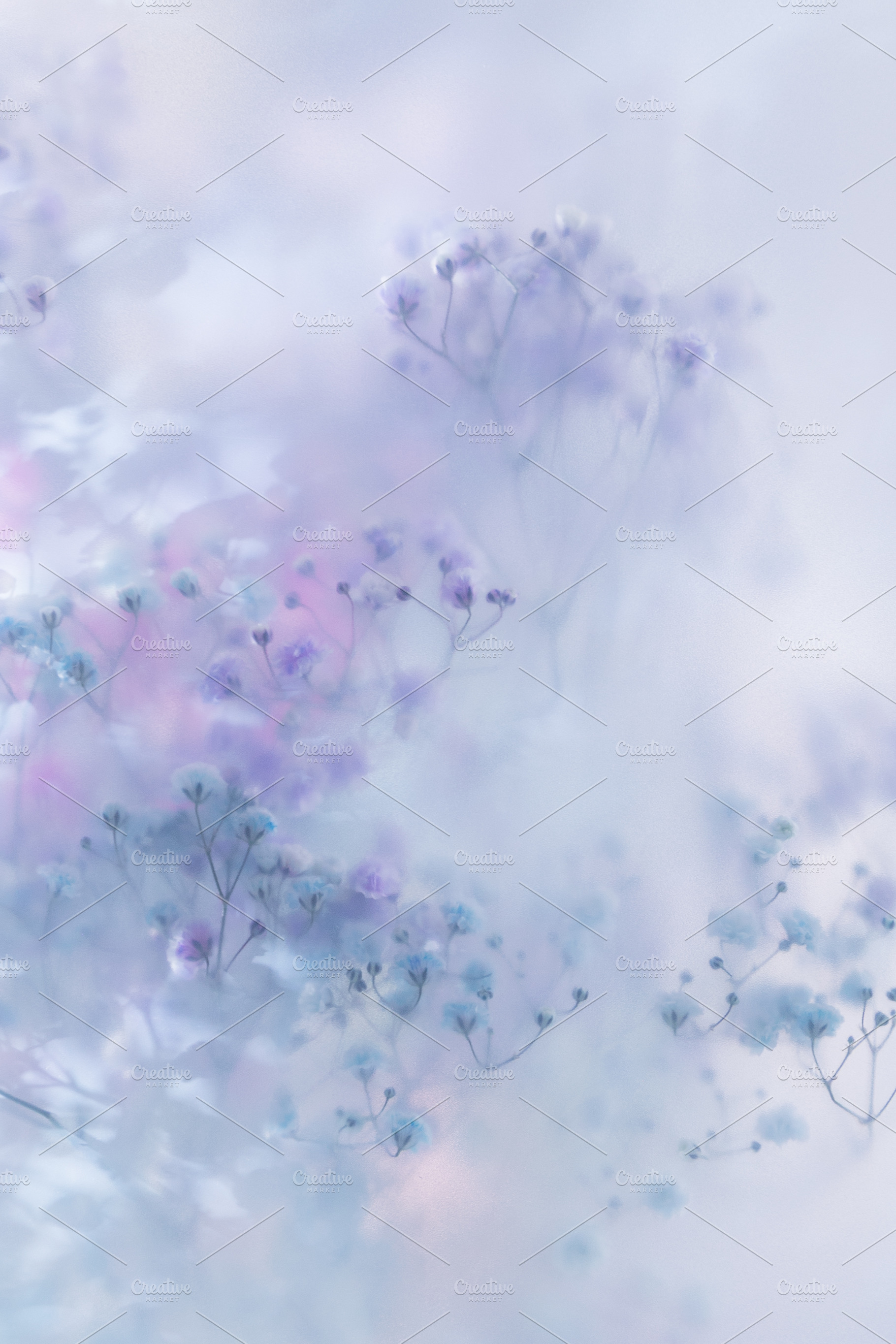 Soft pastel flowers in dreamy blur w, a Nature Photo by Edalin's Store