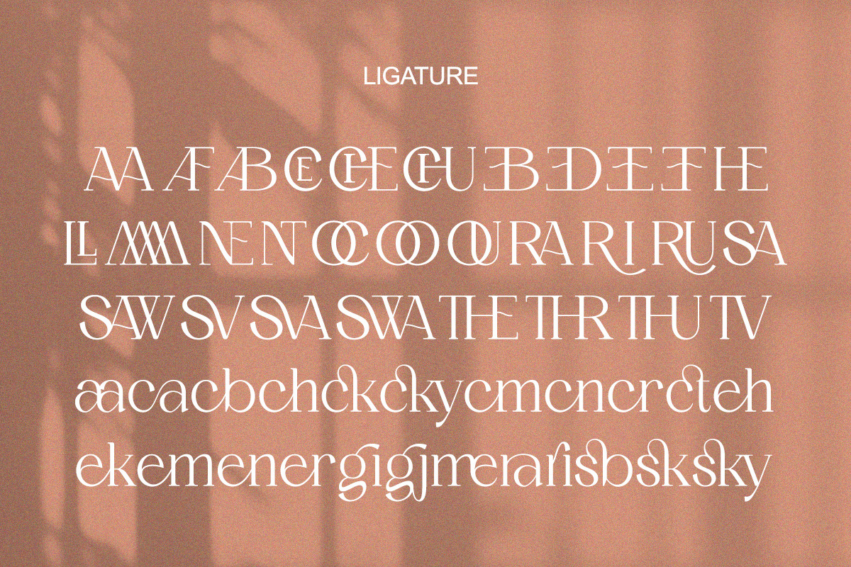Chambery - Modern Elegant Luxury, a Serif Font by Qweera Studio (Photo 10 of 12)