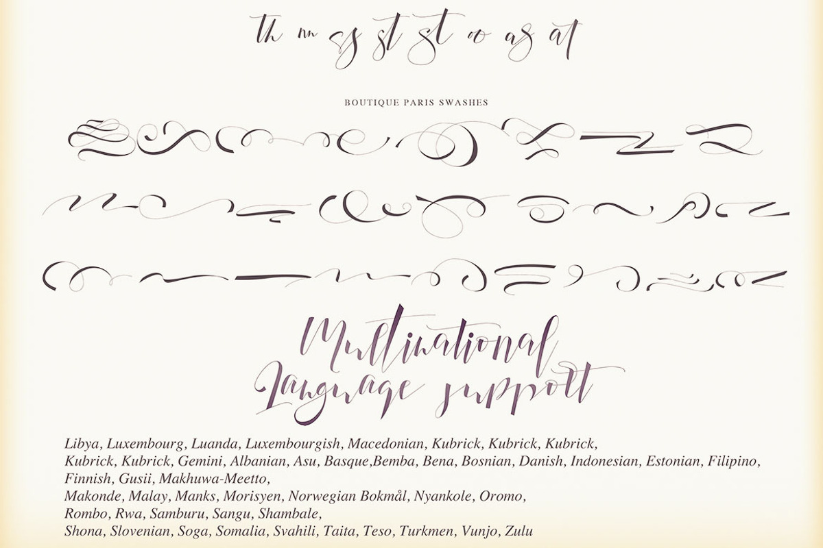 Boutique Paris - Modern Script preview 4