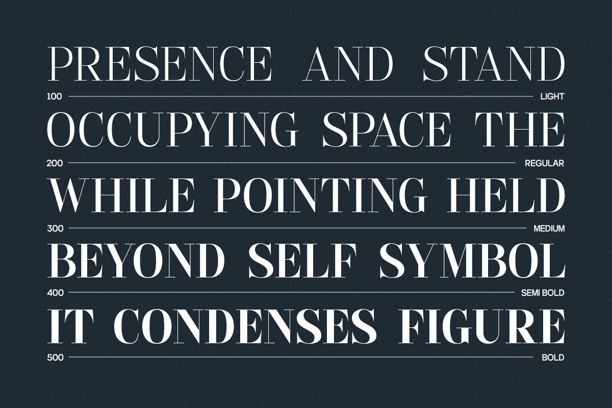 GC Pregio - Clean Serif Typeface, a Serif Font by Glyphonic (Photo 12 of 15)