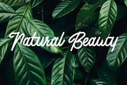 The Quilory, a Font by Rashdrawn (Thumbnail 2 of 5)