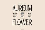 Bitto Club | Modern Sans Serif, a Slab Serif Font by Denustudios (Thumbnail 3 of 14)