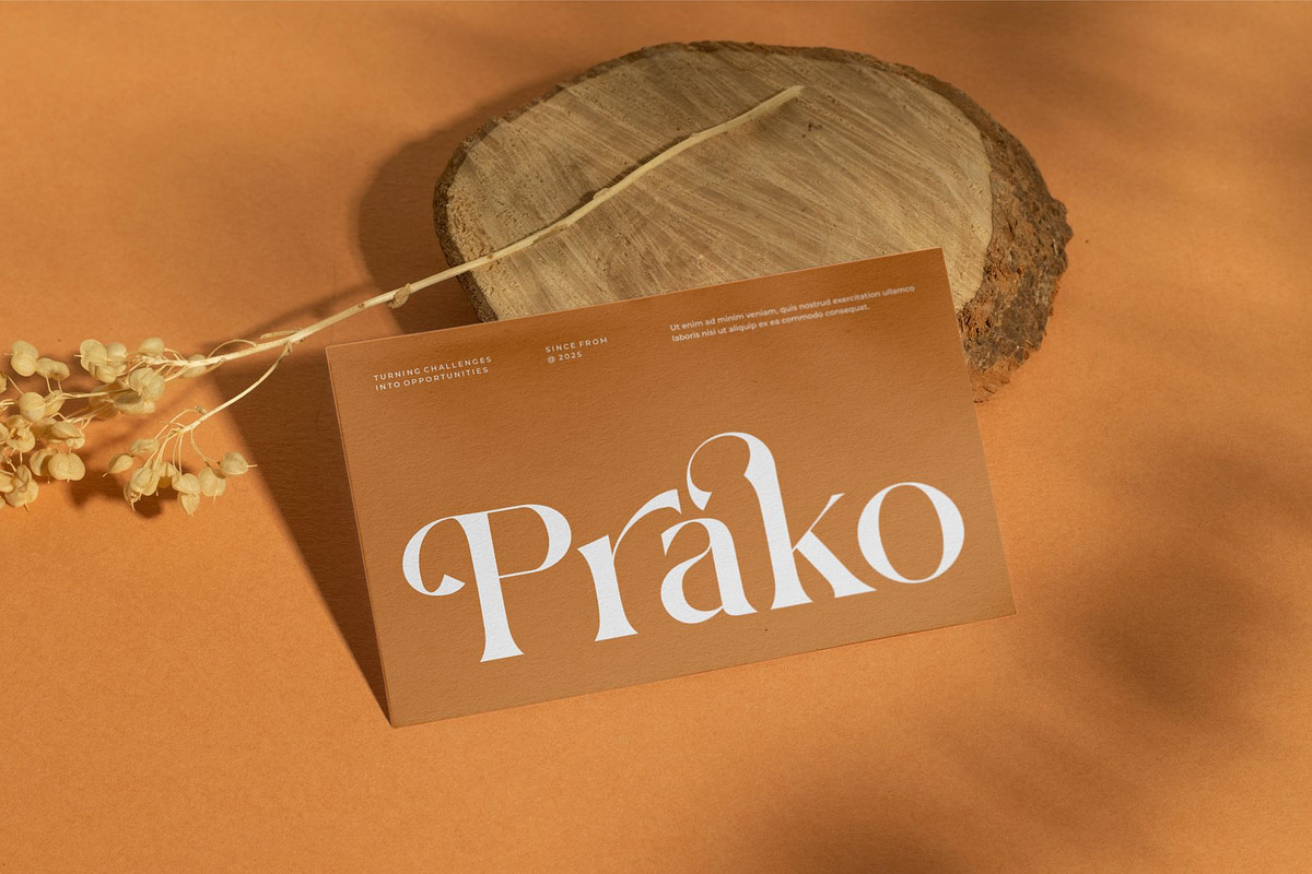 Alikro || Modern Minimalist Serif, a Serif Font by Ermedia Studio (Photo 3 of 10)
