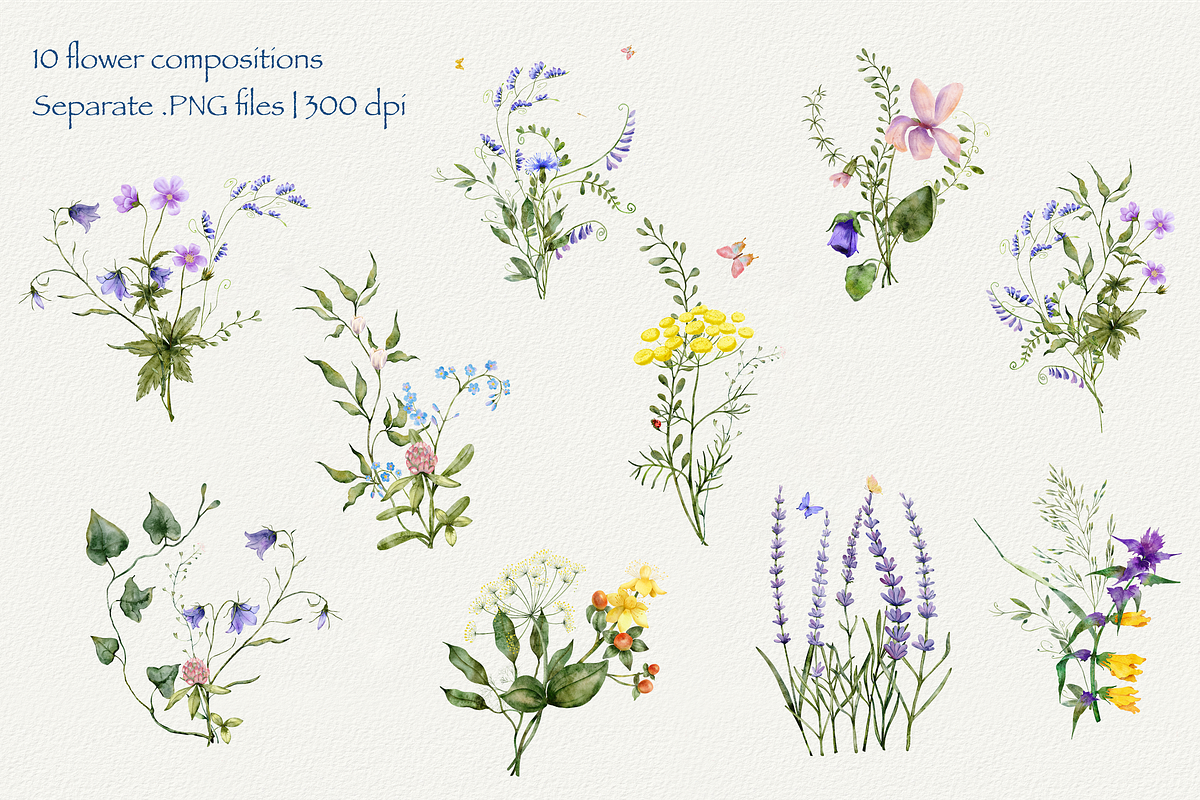 Forest Tales Watercolor Collection, a Decorative Illustration by Aurella Art (Photo 8 of 17)