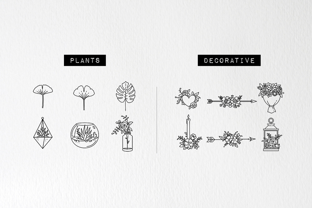 60 Plant & Floral Icons - Flower, an Outline Icon by Hatch Design Workshop (Photo 4 of 11)
