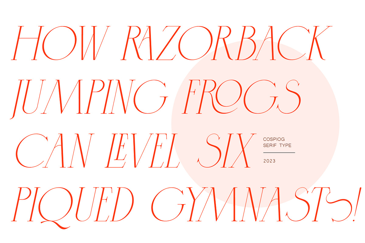 Cospiog - Modern serif font, a Serif Font by NuType (Photo 4 of 9)