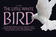 Cal Roman Modern font, a Font by Posterizer KG (Thumbnail 3 of 6)