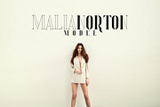 Sugar Spice - font duo + Extras, a Serif Font by VP Fonts (Thumbnail 10 of 20)