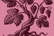 Woodcut-Style Grape Vine, a Food Illustration by Electric Ink (Thumbnail 2 of 2)