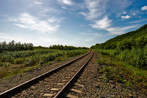 Railway tracks curving through summe, a Wallpaper Photo by Elena Vagengeim